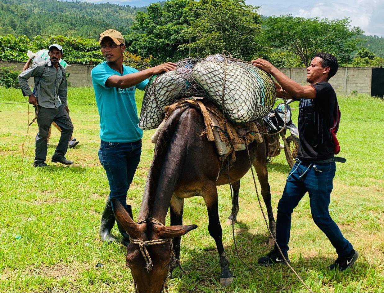 Agricultores de Yoro recibieron 18,000 Bonos Tecnológicos Productivos este 2025