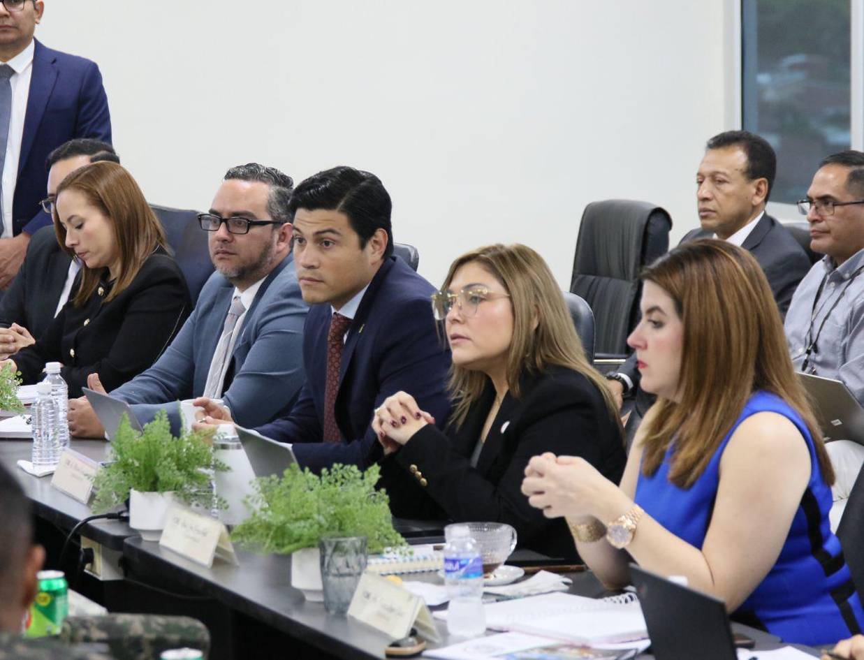 Ana Paola Hall desmiente retrasos y corrige datos difundidos por las FF AA