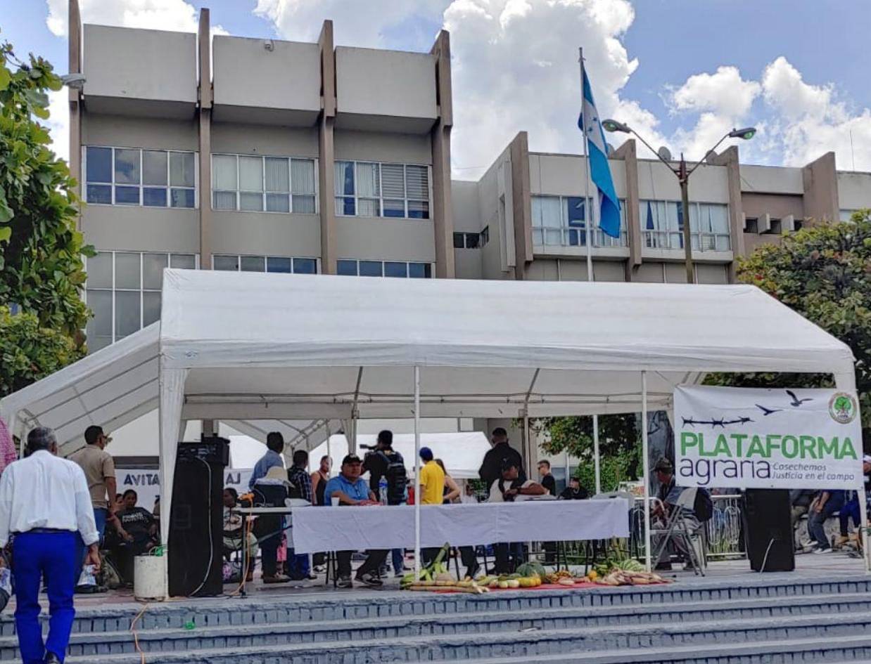 Campesinos del Aguán piden al Poder Judicial actuar contra Los Cachos