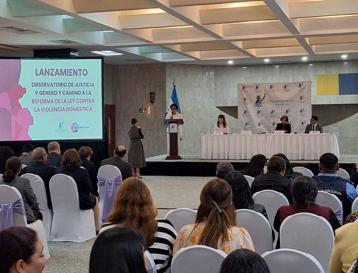 Más de 80 mil denuncias por violencia doméstica en Honduras entre 2020 y 2024