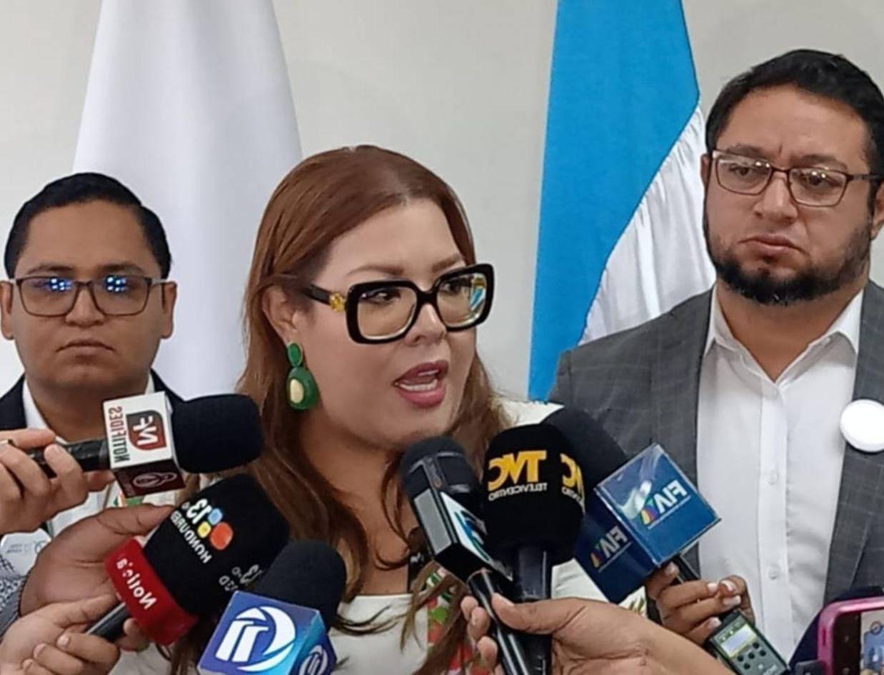 Conadeh lanza su observación electoral con enfoque de derechos humanos