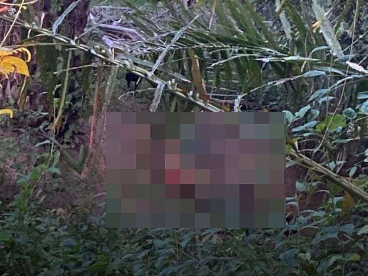 Encuentran cadáveres de un hombre y una mujer en una finca de palma africana en Trujillo
