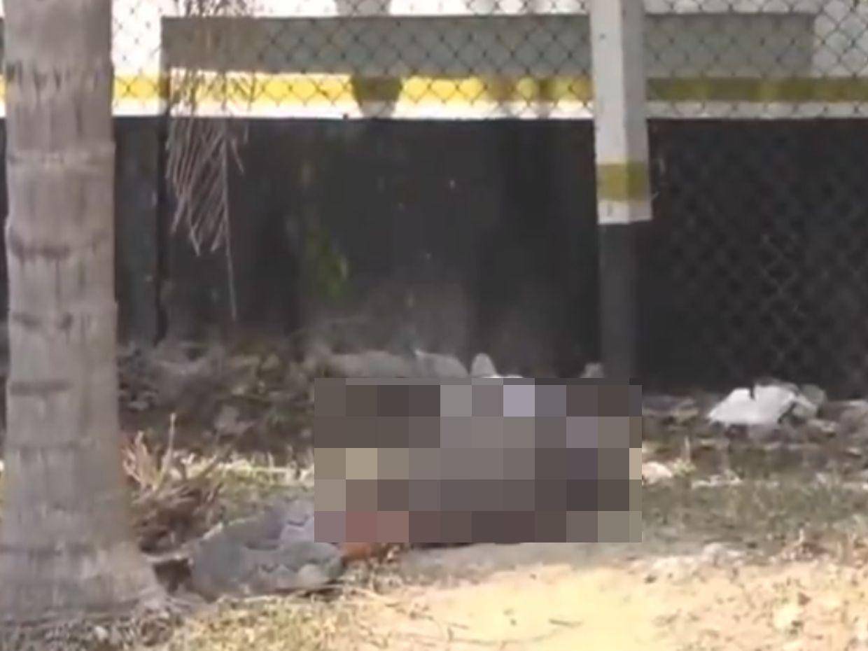 Matan a presunto asaltante en barrio Guadalupe de San Pedro Sula