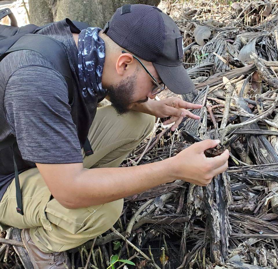 Alex Cubas ha descubierto varias especies de insectos, entre los que destacan arañas y escorpiones endémicos.