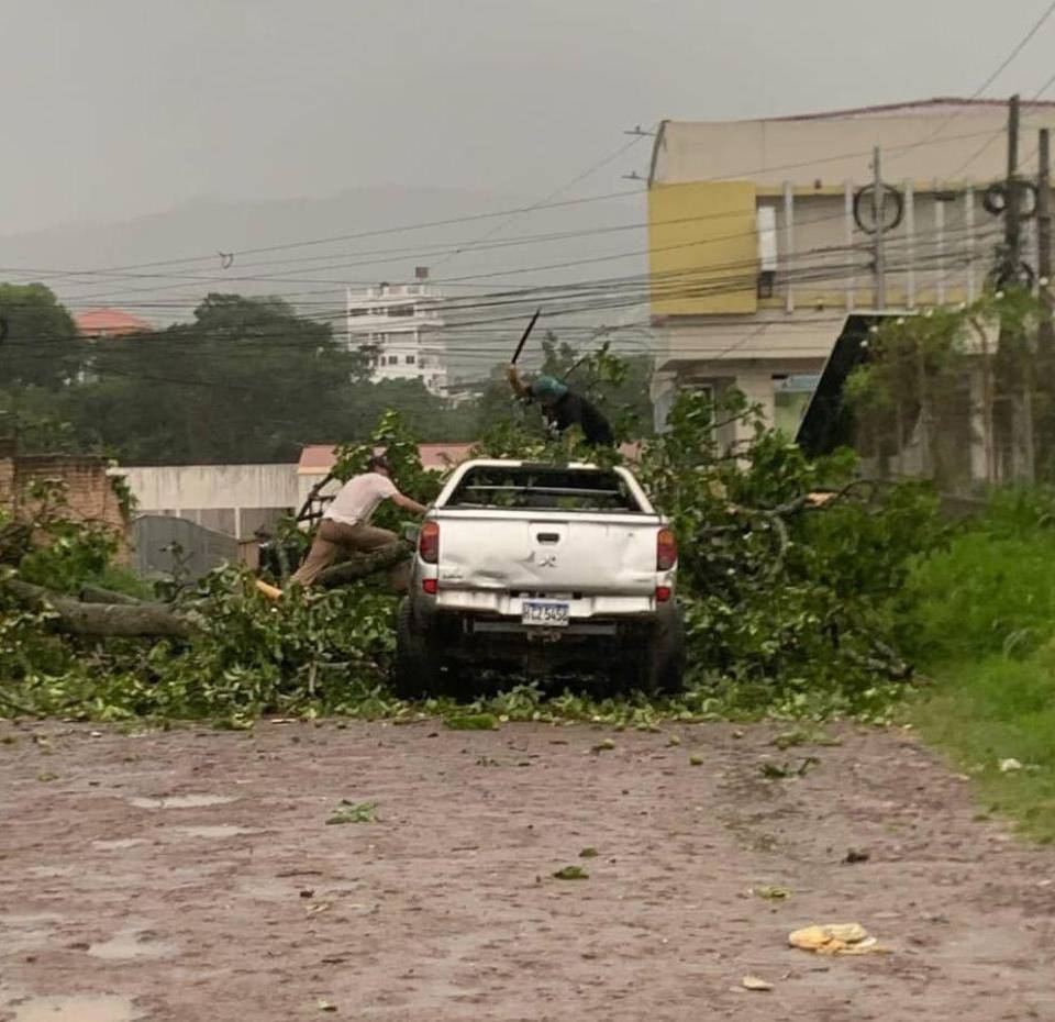 En Siguatepeque varios árboles, postes de tendido eléctrico y rótulos cayeron por los fuertes vientos que acompañaron a las lluvias.