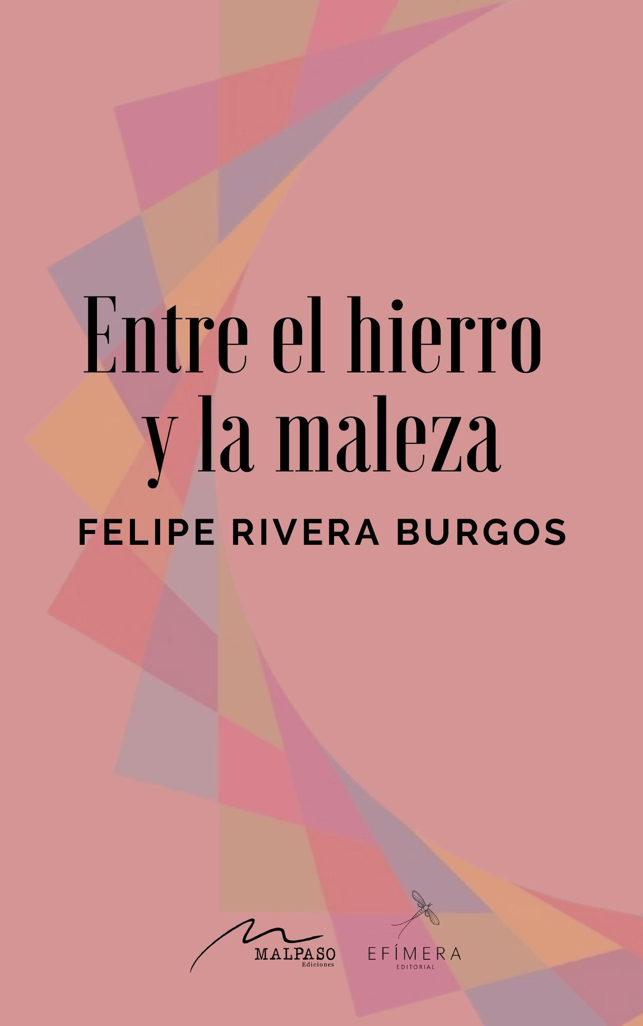 Felipe Rivera Burgos: Entre el hierro y la maleza