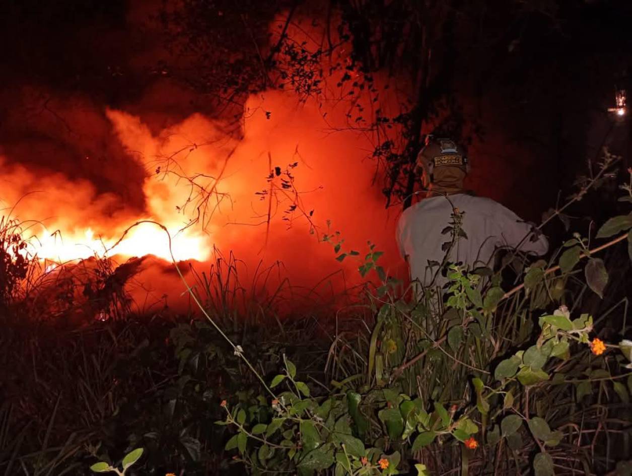 Casi 1,500 incendios dejó el verano en el Distrito Central durante 2025