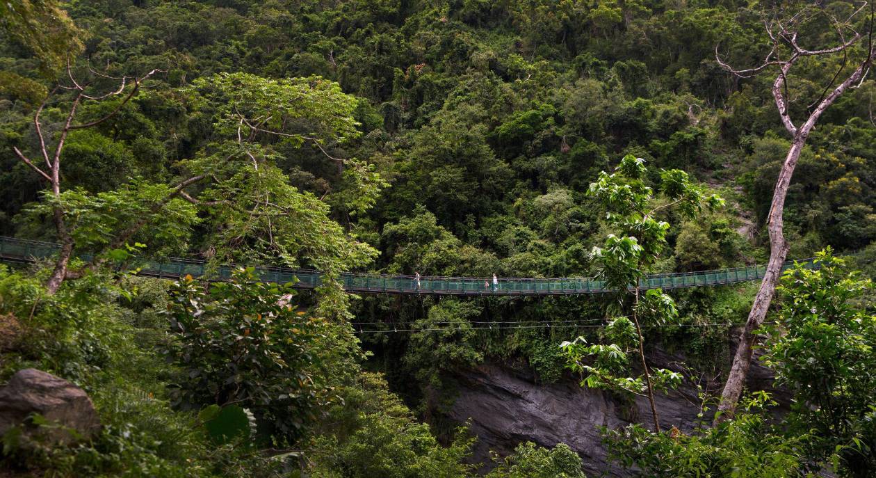 Taiwán: naturaleza, cultura y aventura en un destino sorprendente y poco conocido