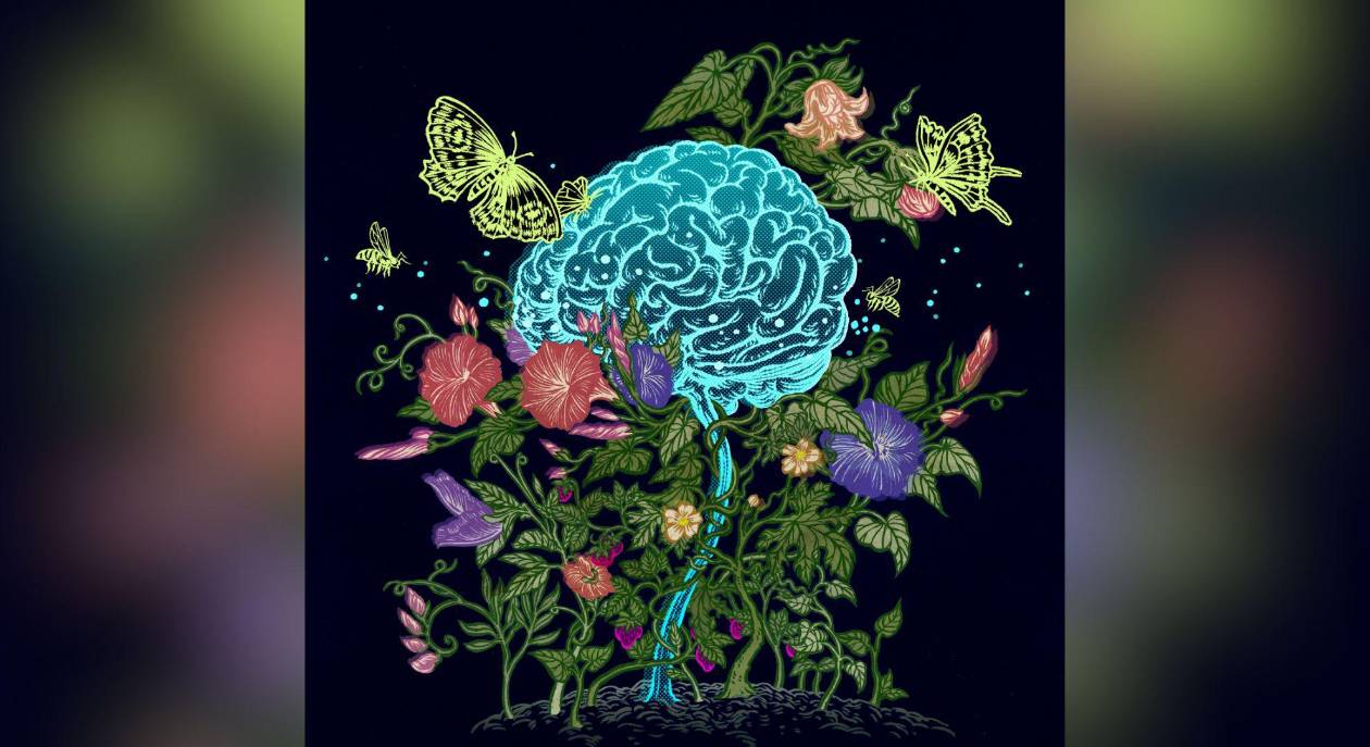 Estrógeno en el cerebro: clave para la salud mental y prevención del Alzheimer