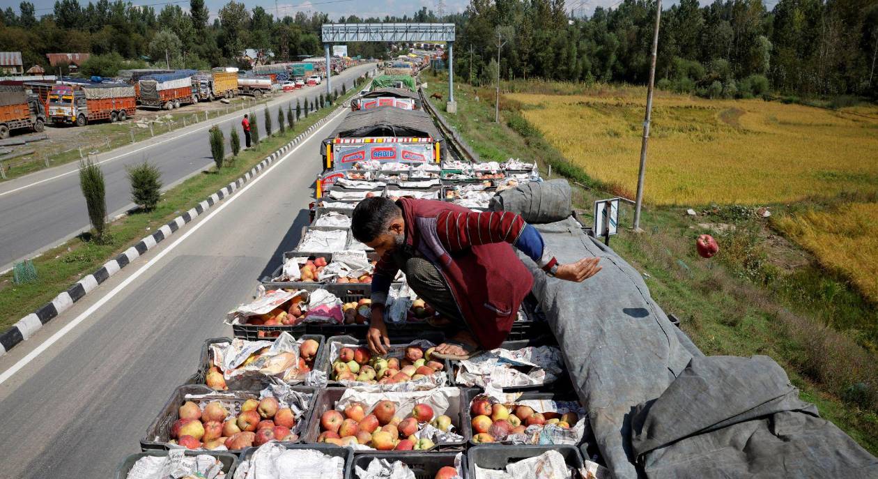 Las manzanas de Cachemira se pudren en los huertos y camiones por bloqueos viales