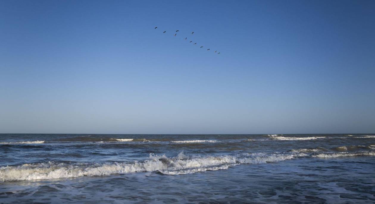 El desconcierto por el “Golfo de América”