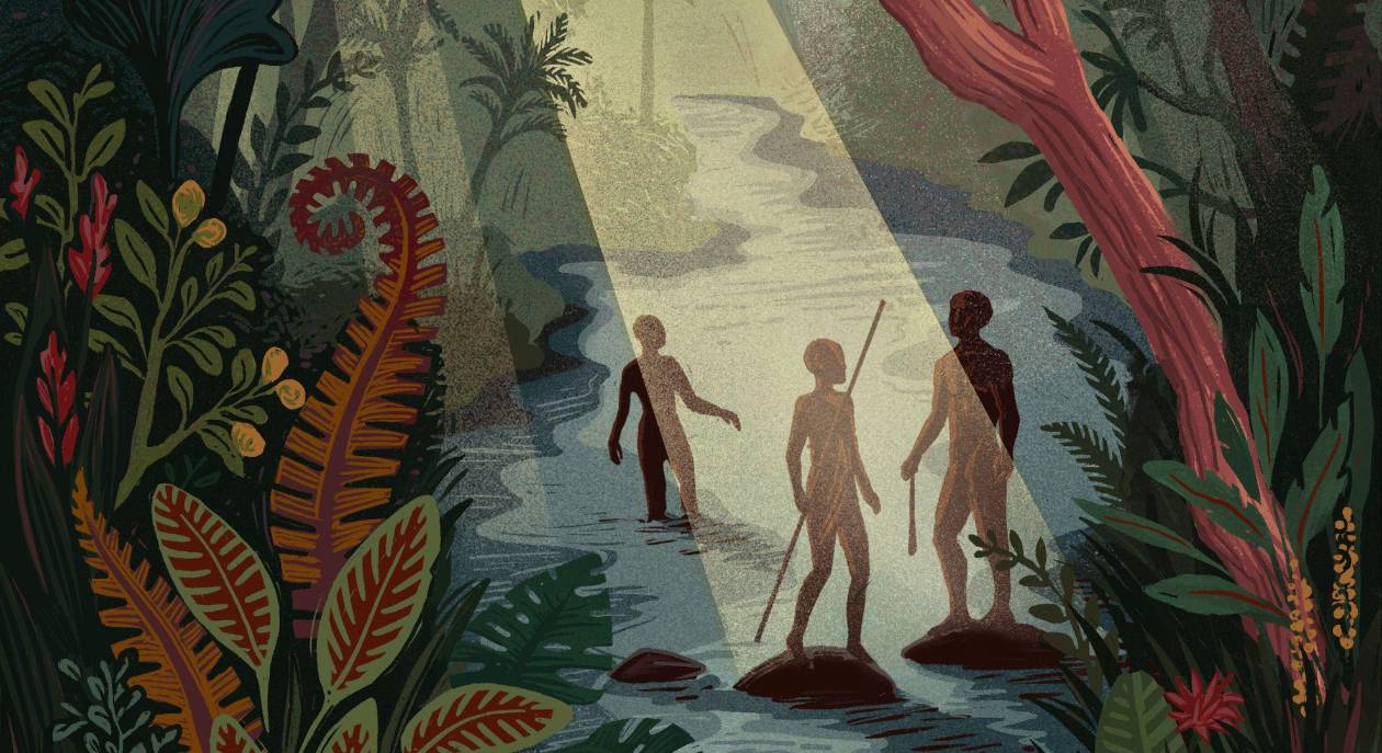 Homo sapiens: un estudio revela que vivió en la selva tropical hace 150 mil años