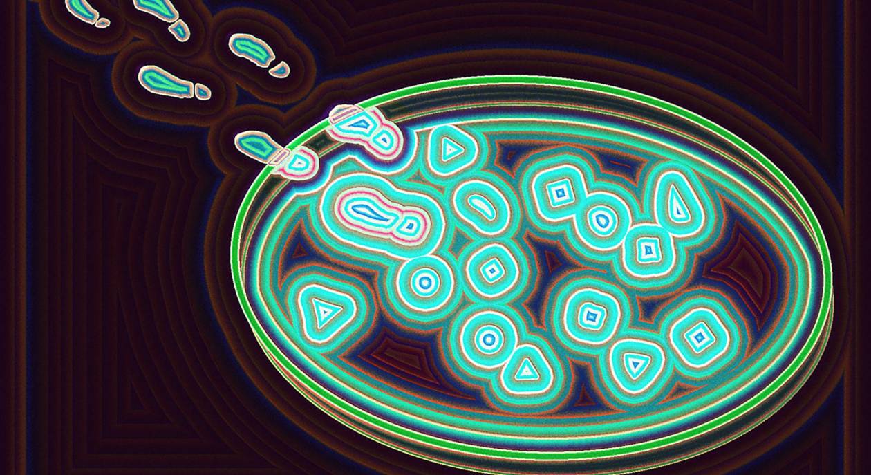 Investigadores alertan sobre riesgos de estudios con virus peligrosos