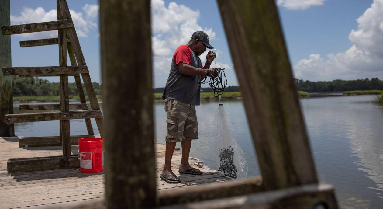 Estudio alerta ecosistemas marinos costeros en riesgo crítico