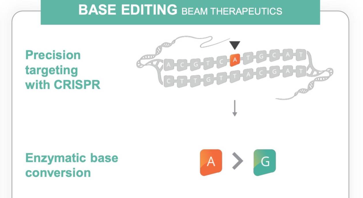 Científicos corrigen mutación genética con una sola infusión