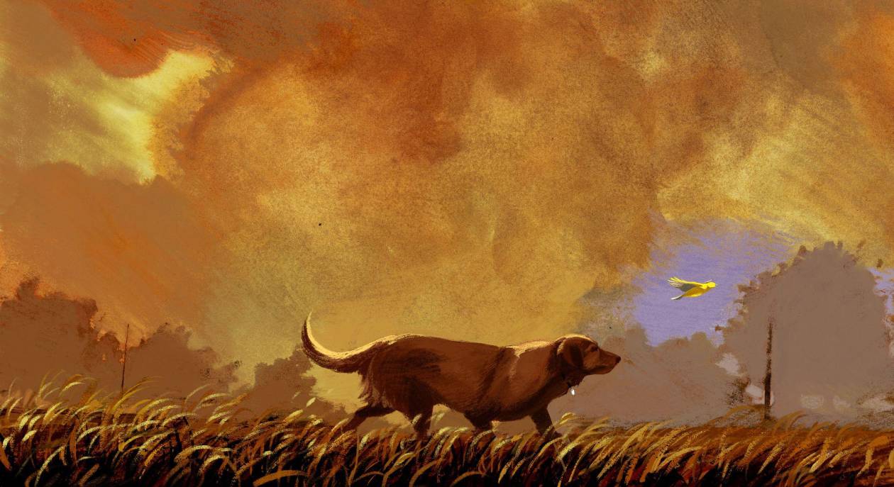 ¿Cómo el desastre en Ohio afecta a mascotas y su papel como centinelas ambientales?