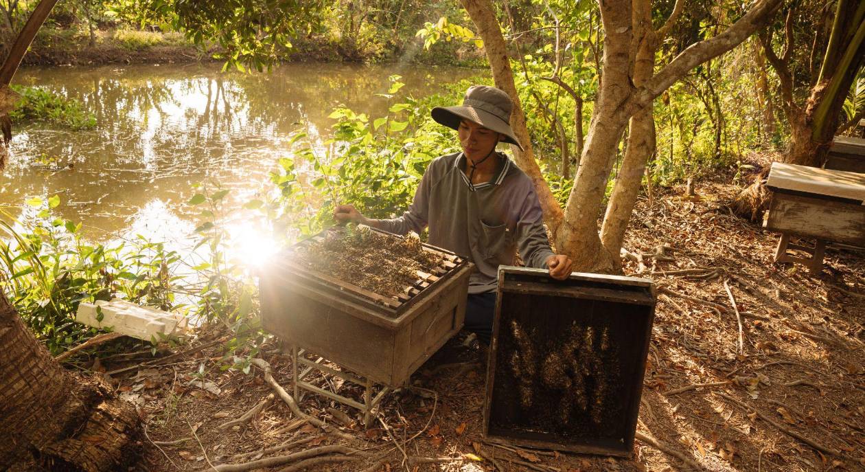 Vietnam: 50 años de paz y prosperidad, tras la guerra