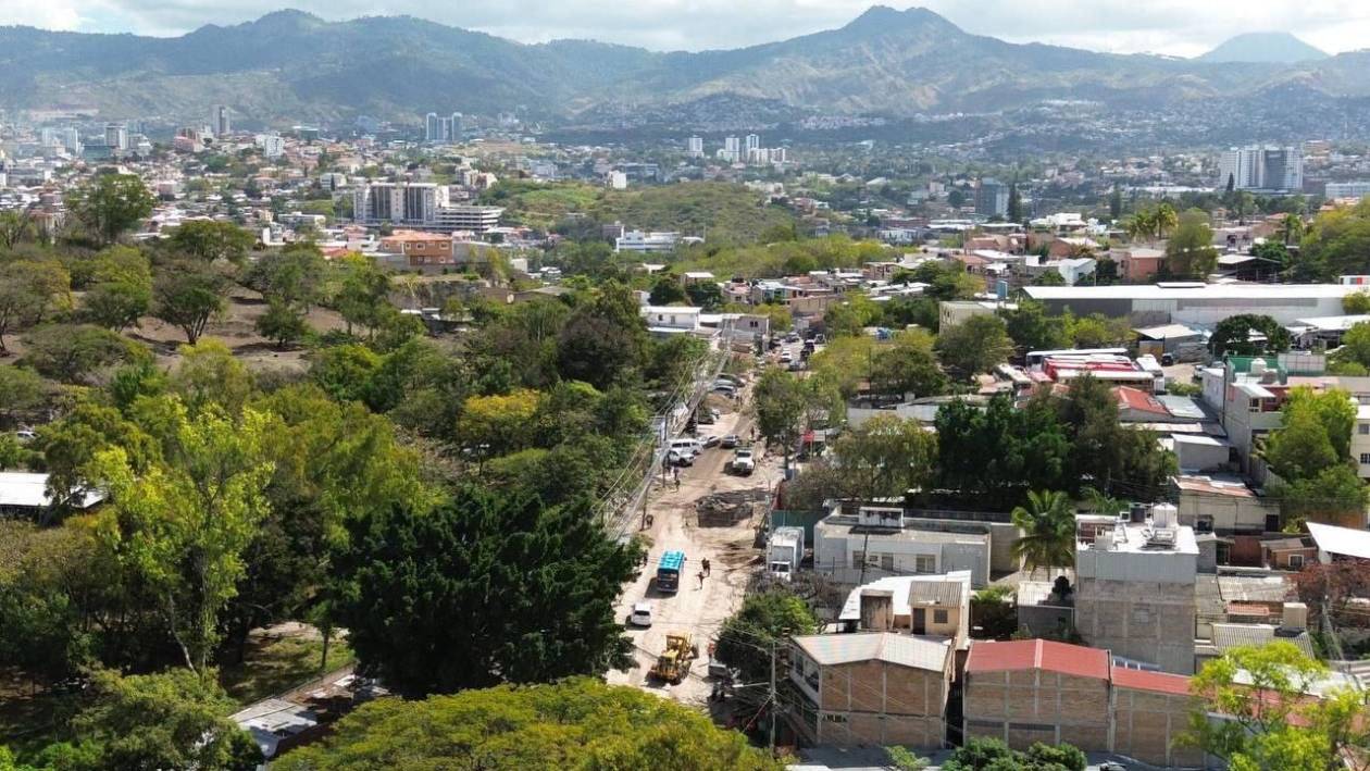 La Alcaldía espera sembrar 300 mil  árboles en el Distrito Central