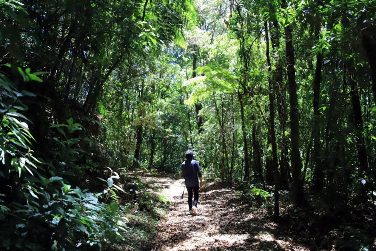 Escápese en Semana Morazánica a las zonas turísticas de Francisco Morazán
