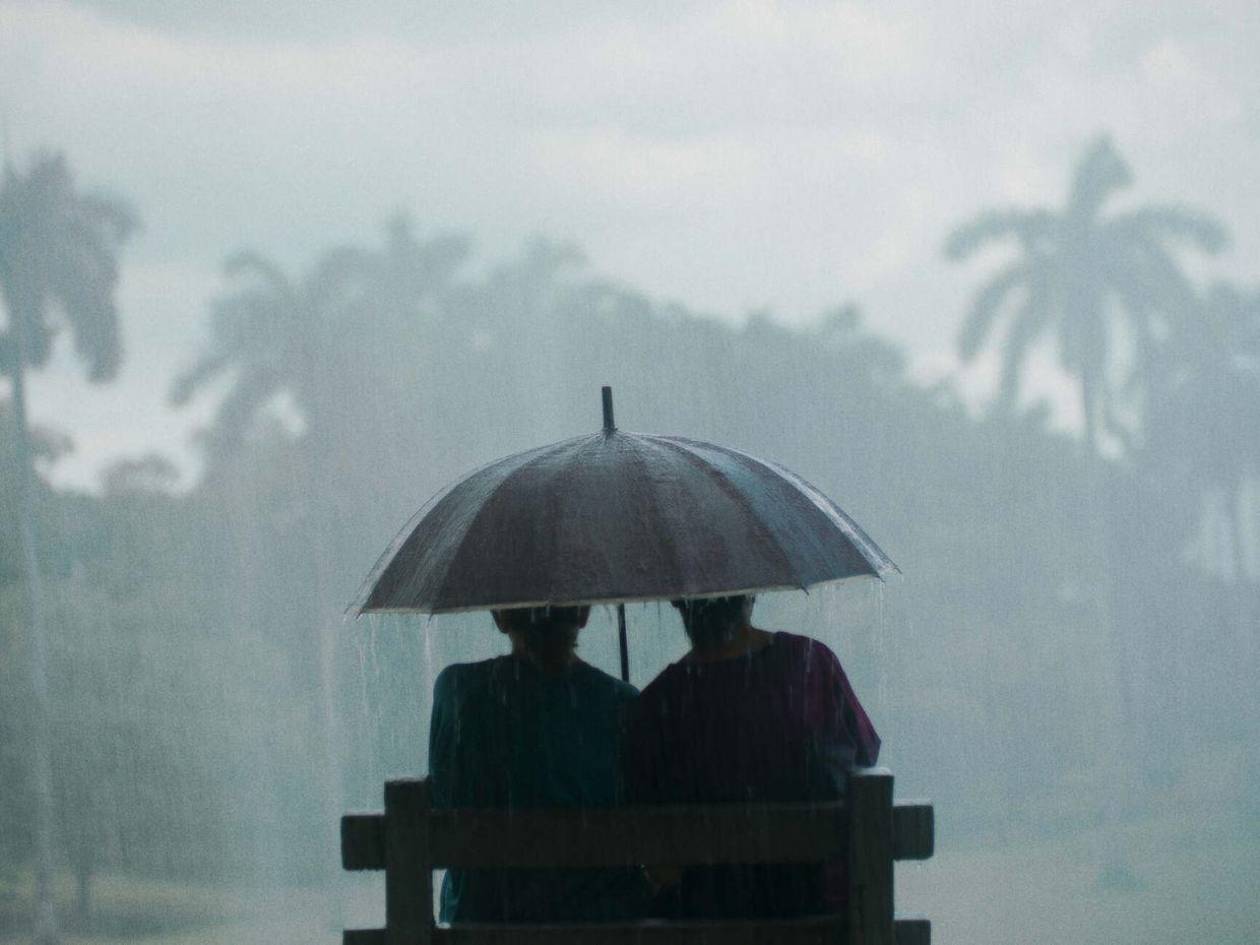 Querido trópico, un encuentro de soledades