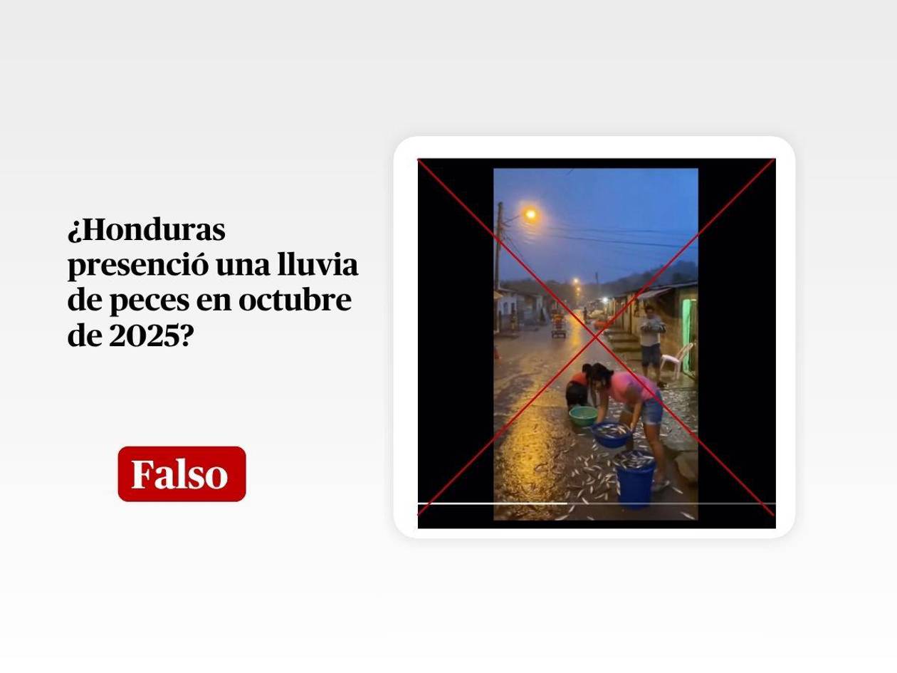 El video de la lluvia de peces en Honduras está generado con IA