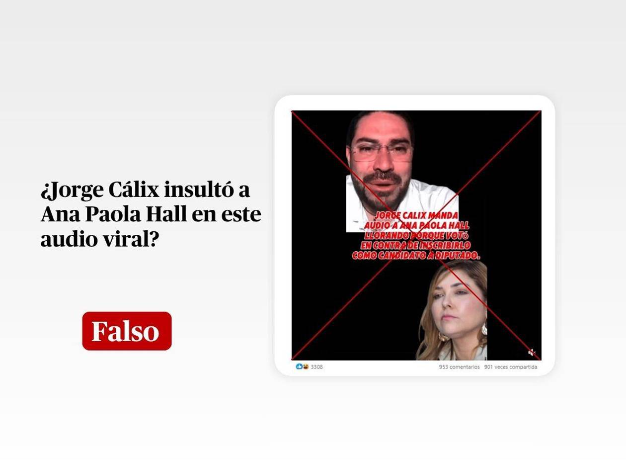 Jorge Cálix no es el autor del audio que insulta a Ana Paola Hall
