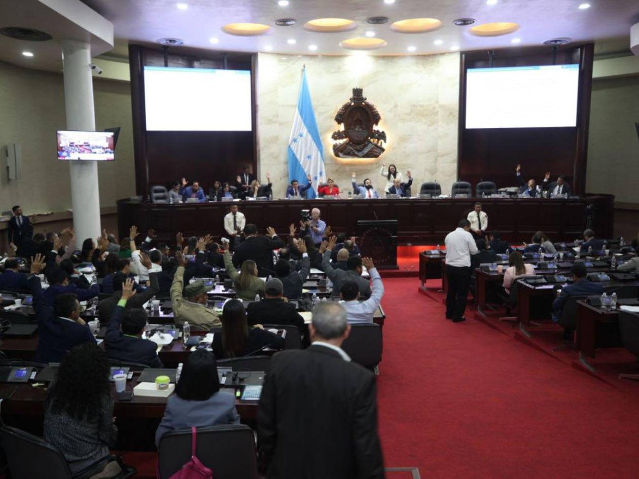 Congreso Nacional aprueba presupuesto de L39 millones para elecciones al TJE