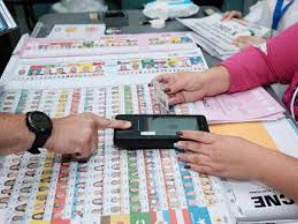 ¿Cuáles son los requisitos para ser observador de la Red de Defensa de la Democracia?