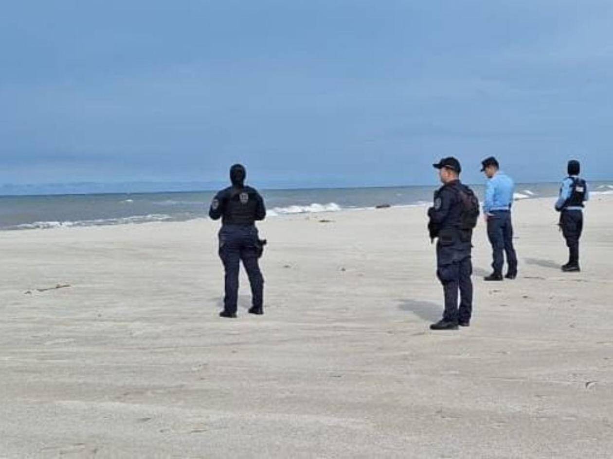 ¿Los tiburones comen personas? Esto dice una experta en fauna marina