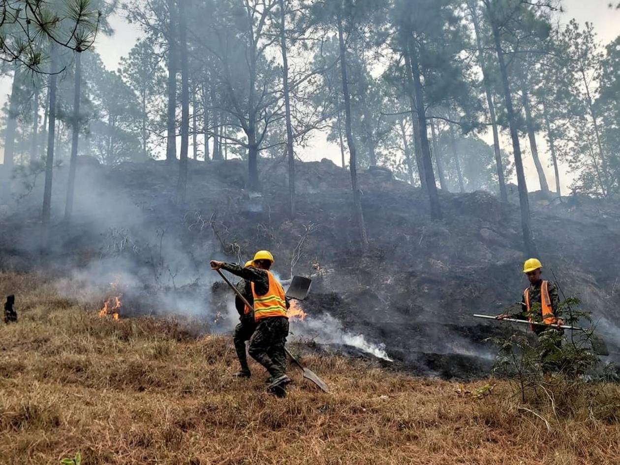 FF AA combaten nueve incendios forestales durante el fin de semana