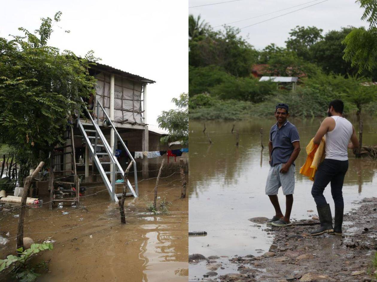 Atrapados, inundados y acechados  por los cocodrilos en Alianza, Valle