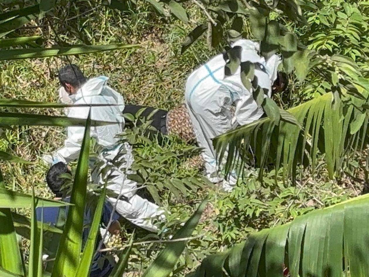 Hallan cuerpo en estado  putrefacto en zona boscosa de la Nueva Suyapa