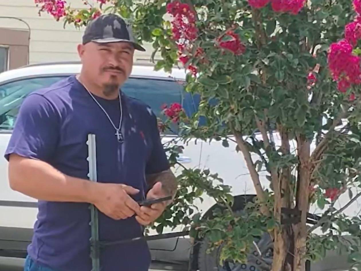 Hondureño muere electrocutado en Estados Unidos mientras podaba un árbol