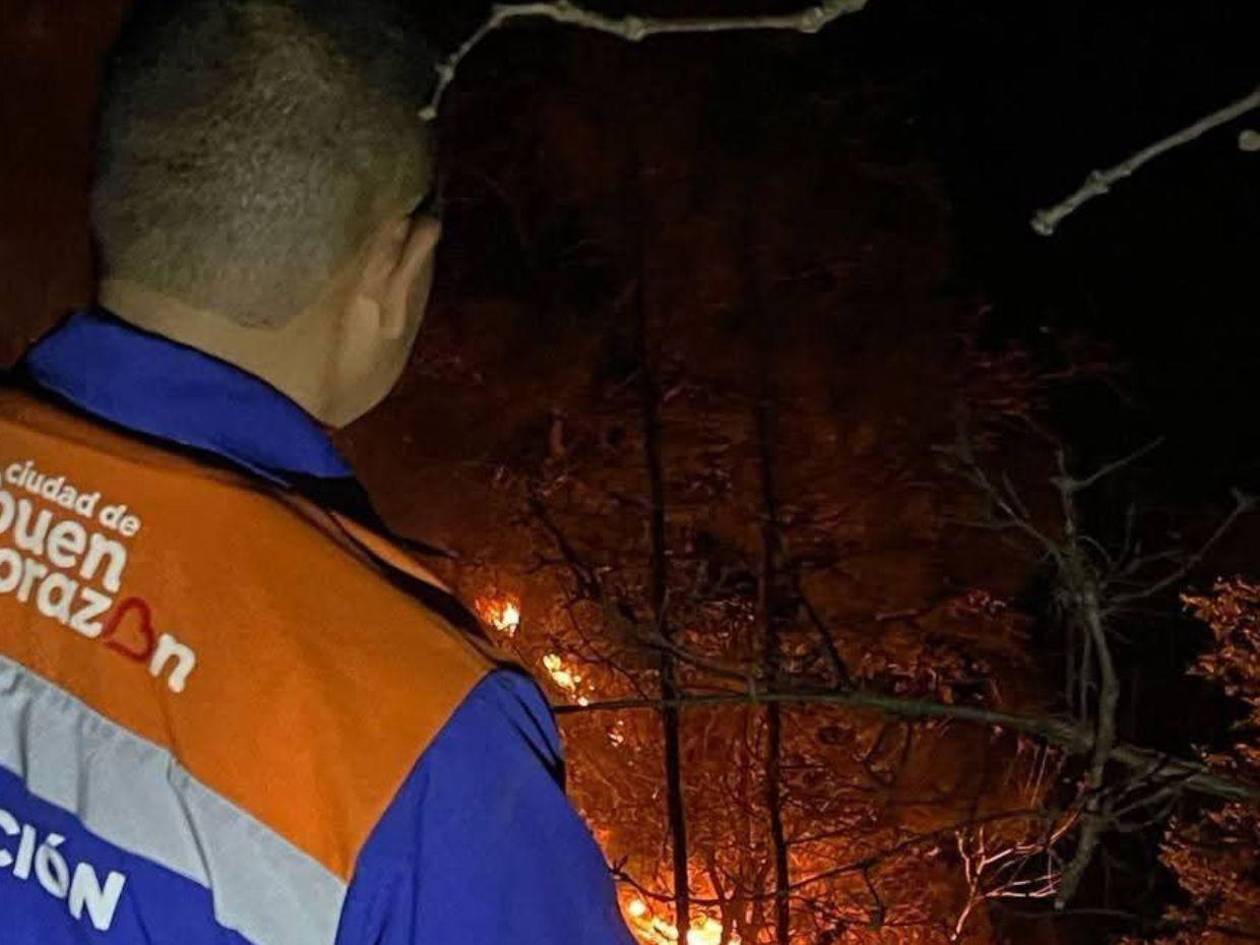 Alrededor 48 incendios forestales registra el Distrito Central, según Alcaldía