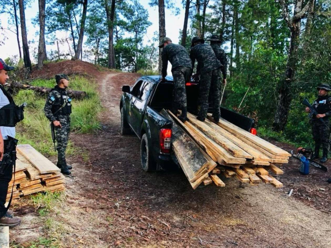 Decomisan 1,780 pies tablares de madera de pino en San Esteban, Olancho