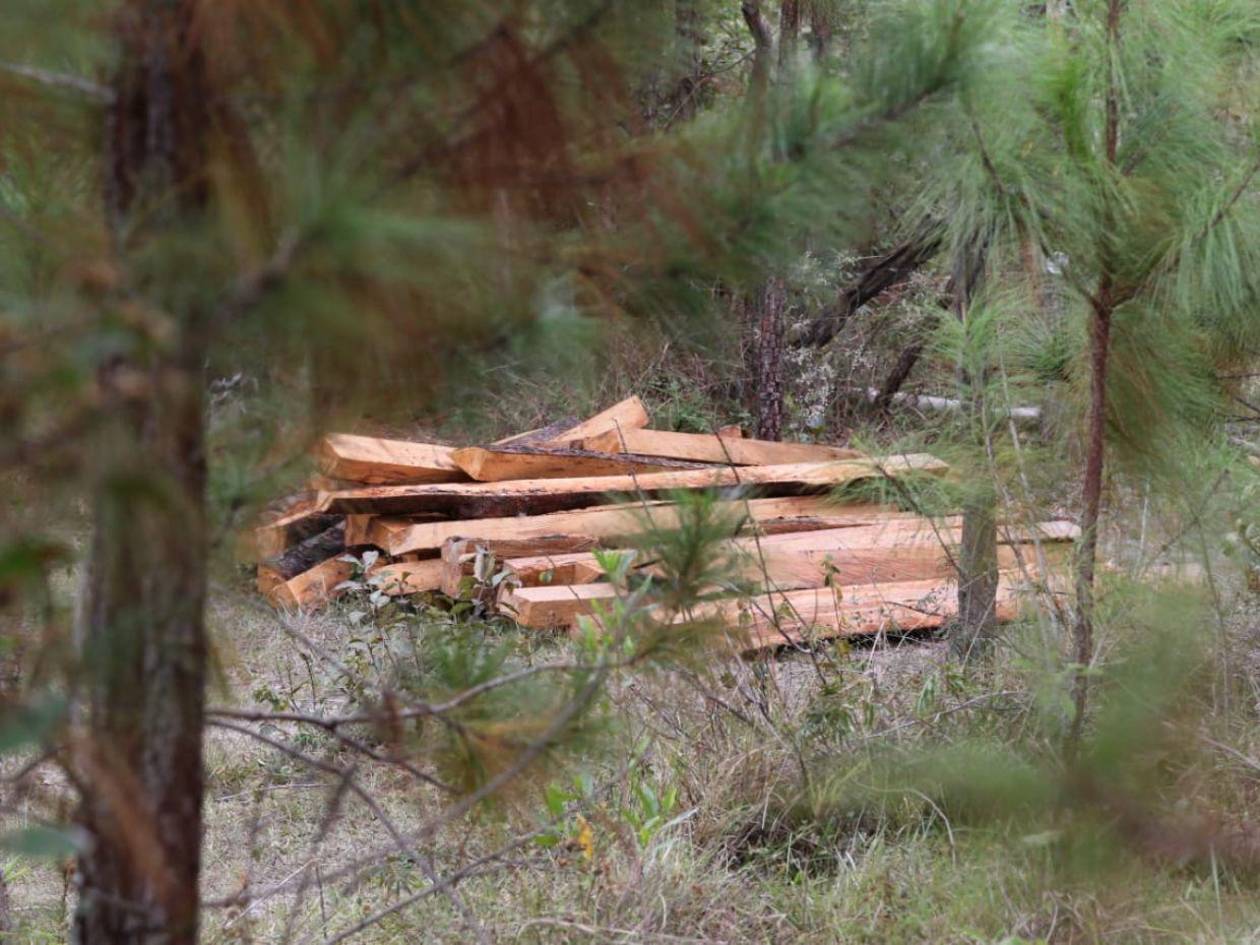 Unos 35 ambientalistas murieron violentamente en Honduras desde 2022