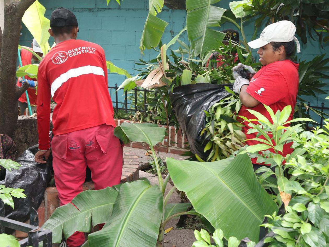 AMDC realiza limpieza en centros educativos de Escuelas Amigables con el Ambiente