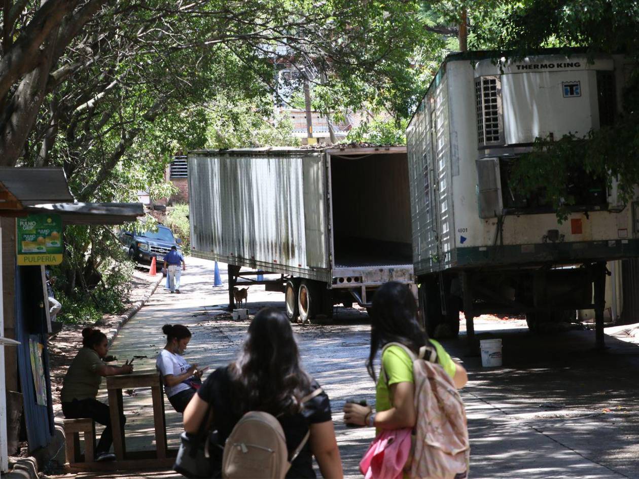 Pestilencia en Medicina Forense: unos 40 cuerpos en peligro de descomposición