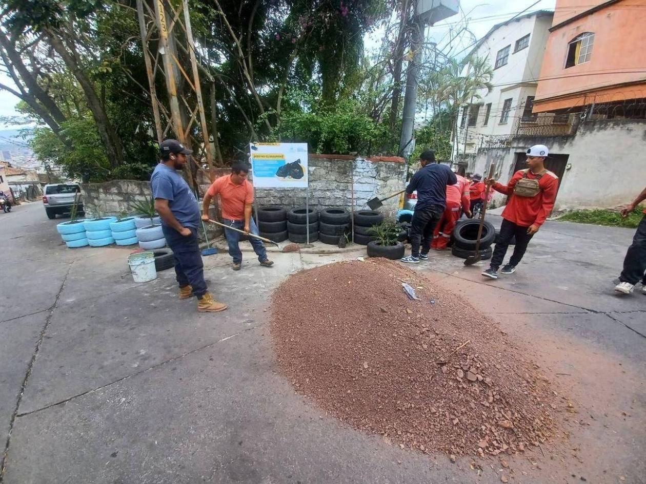 Transforman basurero en un pequeño jardín en La Leona