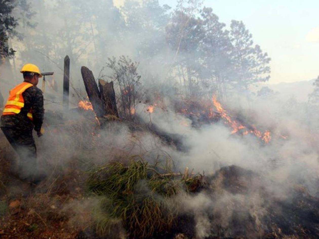 Incendios forestales arrasan con 922 hectáreas de bosques en Honduras en 2025