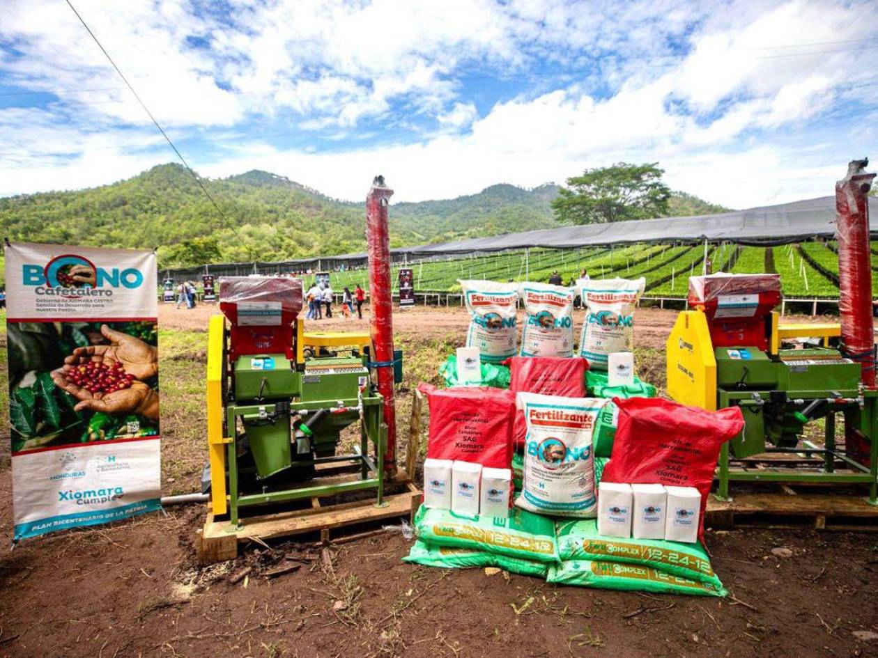 Xiomara Castro lanza el proyecto Agrobosque, el más grande de América Latina