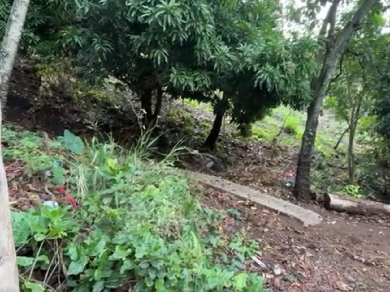 Sin vida encuentran a un hombre en la colonia Brasilia de Comayagüela