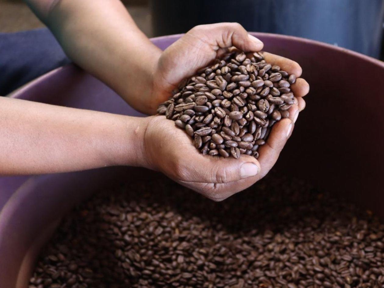 Prórroga de la UE garantiza estabilidad al comercio del café