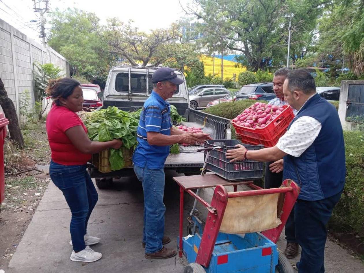 Estudiantes del Distrito Central serán capacitados sobre huertos escolares