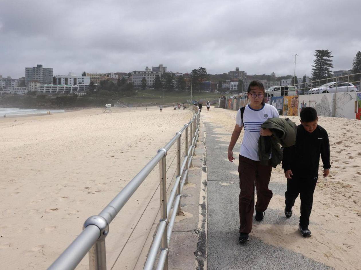 Una mujer en estado crítico tras ser atacada por un tiburón en Australia