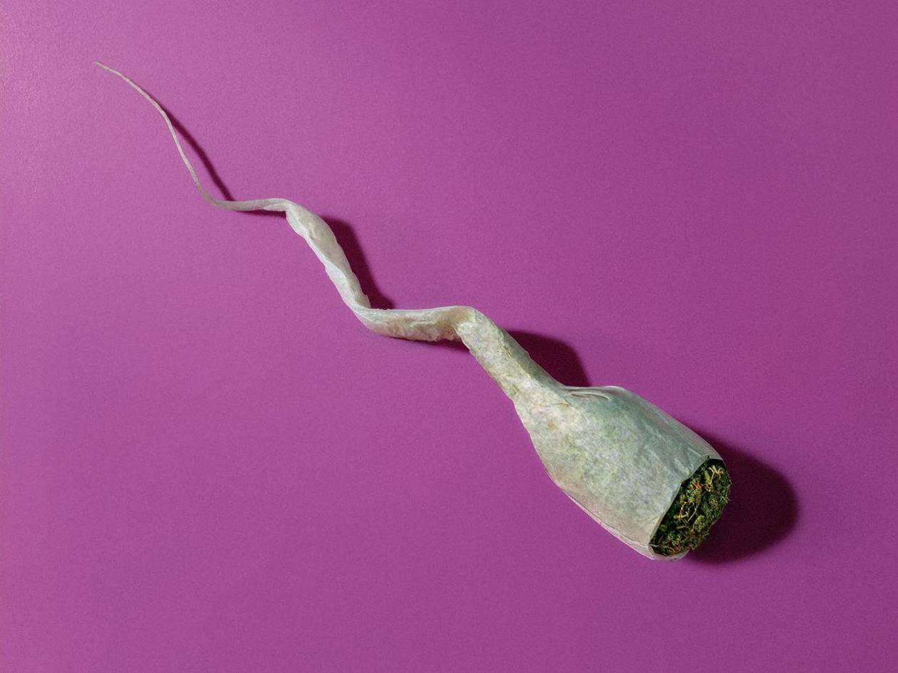 Estudios confirman que la marihuana afecta la fertilidad masculina