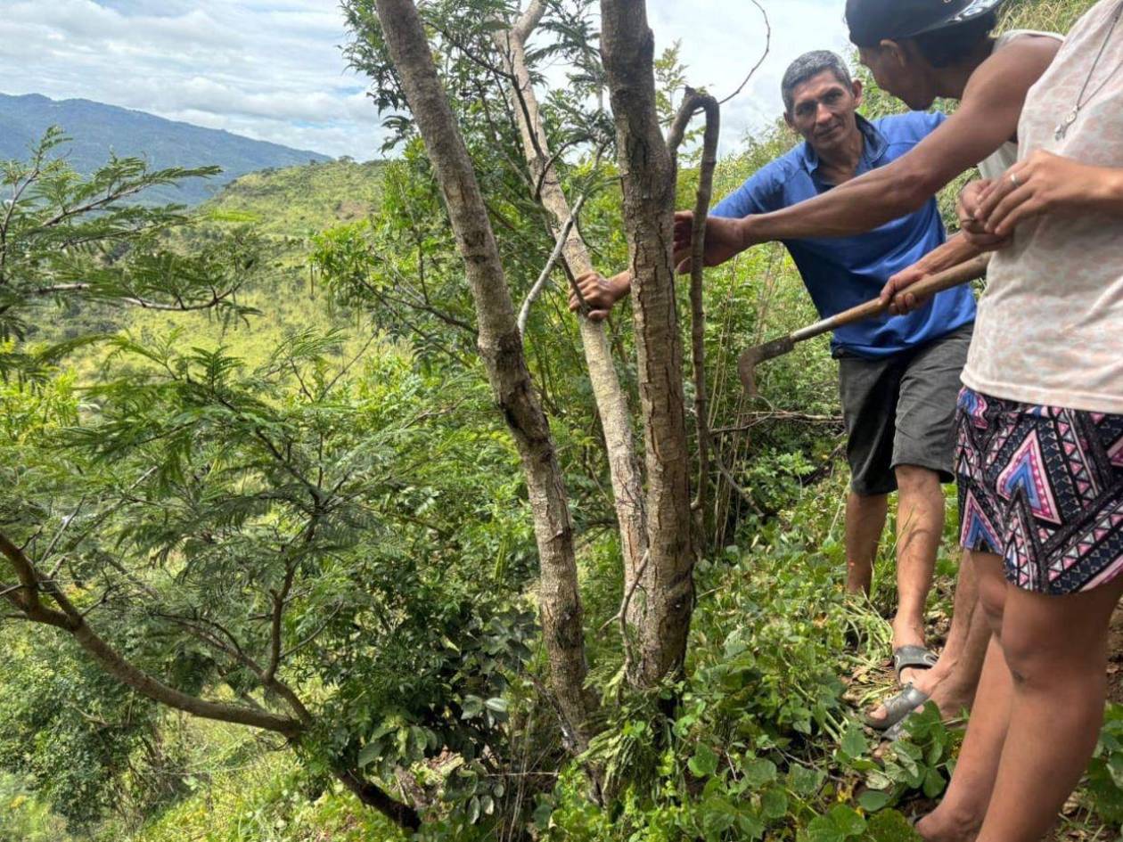 Hallan cadáver de una mujer en estado de descomposición en Altos de la Cascada de la capital