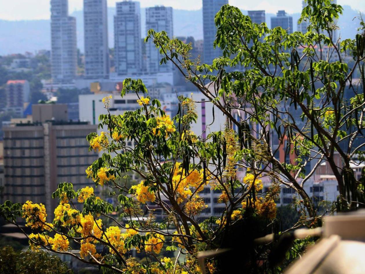 Frente frío ingresará a Honduras; este viernes sigue el intenso calor