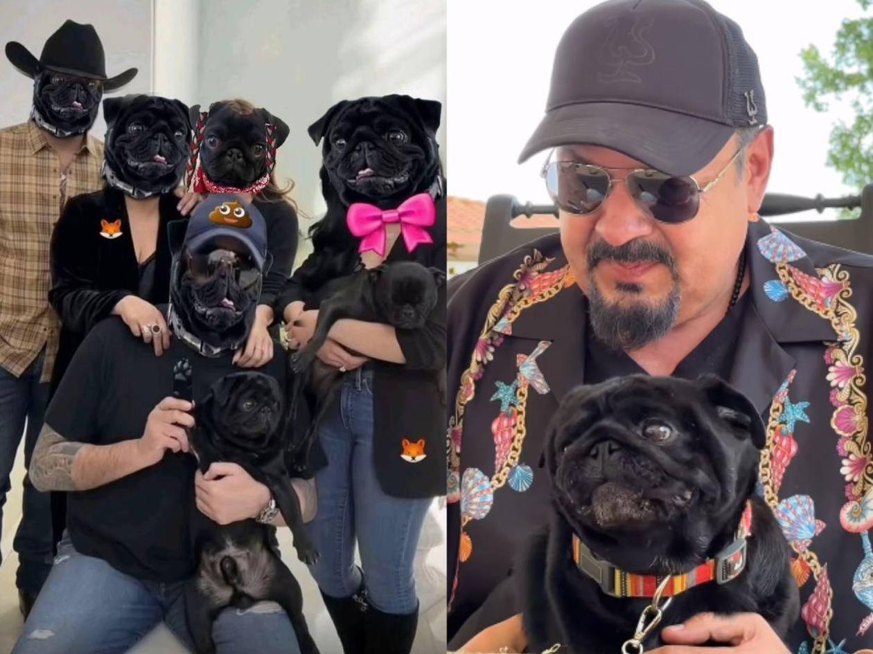 “Bonita familia de perros”, la frase con la que Emiliano reta a su padre, Pepe Aguilar
