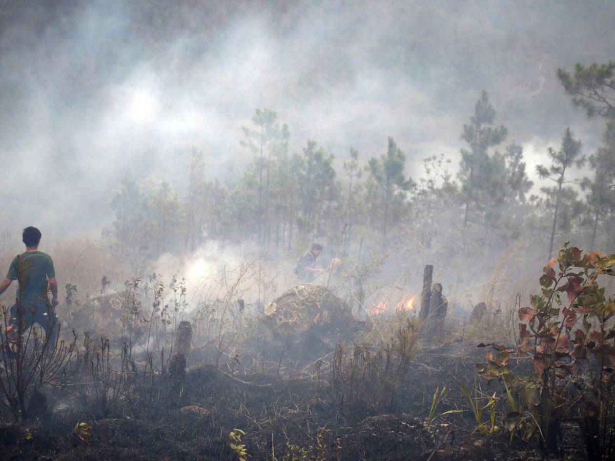 FF AA combaten nueve incendios forestales durante el fin de semana